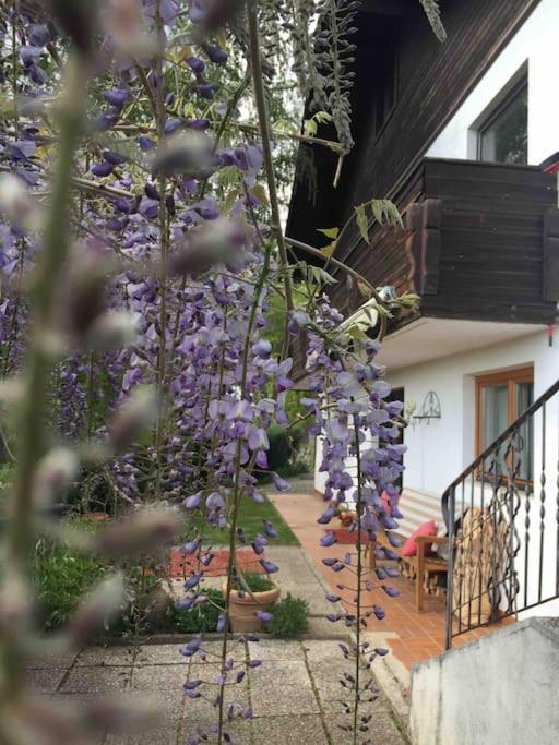 Charmantes Landhaus Mit Garten Und Traumhaftem Fernblick Thal  Εξωτερικό φωτογραφία