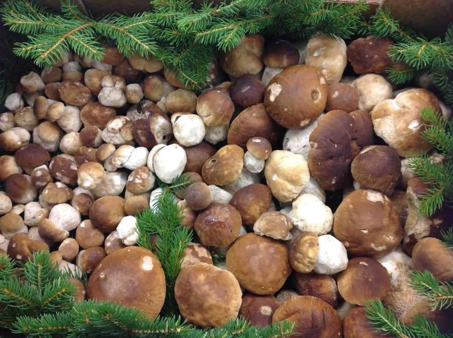 Charmantes Landhaus Mit Garten Und Traumhaftem Fernblick Thal  Εξωτερικό φωτογραφία