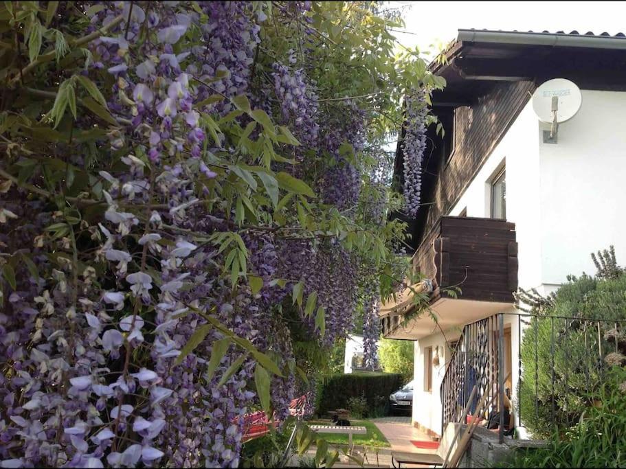 Charmantes Landhaus Mit Garten Und Traumhaftem Fernblick Thal  Εξωτερικό φωτογραφία
