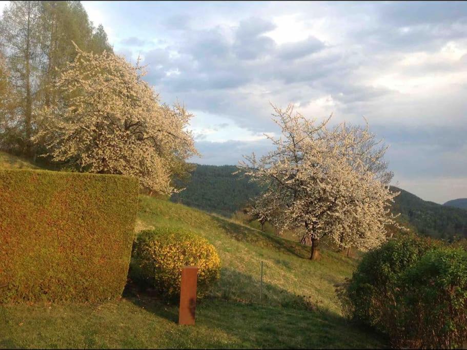 Charmantes Landhaus Mit Garten Und Traumhaftem Fernblick Thal  Εξωτερικό φωτογραφία