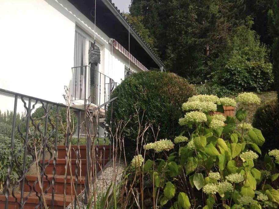 Charmantes Landhaus Mit Garten Und Traumhaftem Fernblick Thal  Εξωτερικό φωτογραφία